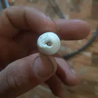 یک دونه عطف قدیمی اصل درجه یک