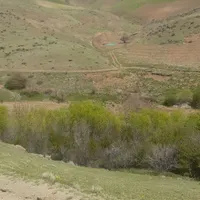 رهنمایی کار