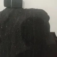 بیون با دو عدد قالی لری