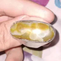 سنگ|جواهرات|اردبیل, |دیوار