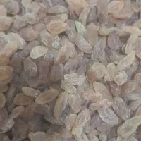 کشمش خوراکی قیمت مناسب افتابی وسبز|خوردنی و آشامیدنی|نیشابور, فضل|دیوار