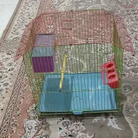 سبد پرنده نو فروشی