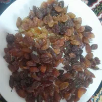 کشمش خانگی|خوردنی و آشامیدنی|نیشابور, شهید بهشتی|دیوار