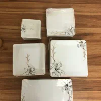 ظرف|ظروف سرو و پذیرایی|ساری, |دیوار