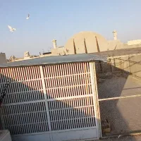 یک عدد گنجه کبوتر سالم وتمیز|لوازم جانبی حیوانات|قم, کلهری|دیوار