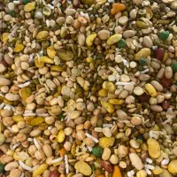 پفیلاکیلویی|عمده‌فروشی|جیرفت, |دیوار