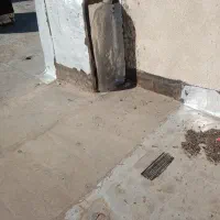 خدمات نظافتی|خدمات نظافت|گلبهار, شهر جدید گلبهار|دیوار