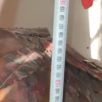 آباژور نخل مسی قدیمی ارتفاع ۱۵۵|چراغ خواب و آباژور|رودهن, |دیوار