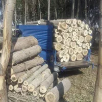 خرید چوب بصورت نقدی