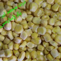 استخدام بازریاب و ویزیتور