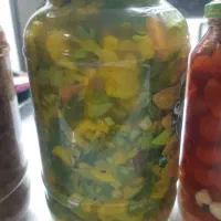 سفارش انواع ترشی خانگی|خوردنی و آشامیدنی|اصفهان, ارغوانیه|دیوار