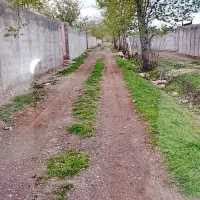 زمین-باغ-در-کوهسار