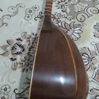 تنبور ترکه ای براخانی|سازهای سنتی|رودهن, |دیوار