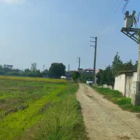 زمین کشاورزی|فروش زمین و ملک کلنگی|امیرکلا, |دیوار