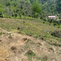 زمین ۱۰۰۰ متری با پروانه ساخت|فروش زمین و ملک کلنگی|لاهیجان, لیل|دیوار