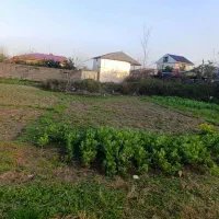 زمین-باغی-بر-اصلی-ابکنار