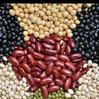 فروش انواع حبوبات..|خوردنی و آشامیدنی|اقلید, |دیوار