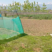 500مترزمین بدون مدرک مسکونی باکوچه 6متری