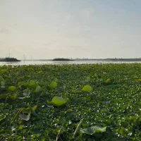 تور گیلان تا قلعه رود خان|تور و چارتر|مشهد, احمدآباد|دیوار