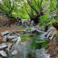 مج طبیعت گردی گروهی طور تور یک روزه