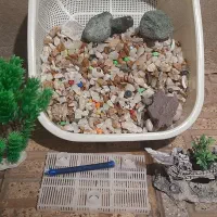 آکواریوم منحنی|ماهی|اقبالیه, |دیوار