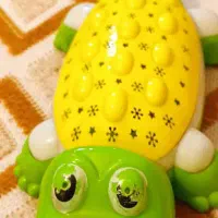 ۳عدد موزیکال