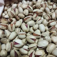 پصته امسالی