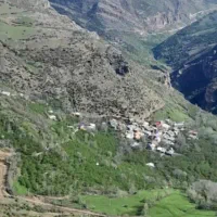 نوشیدنی طبیعی|خوردنی و آشامیدنی|محمدیه-قزوین, |دیوار