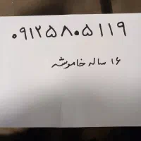 خط ۹۱۲ کد ۵ رند و خاموش