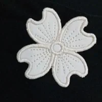 عکس ژورنالی