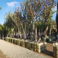 گرفتن پایان کار شهرداری