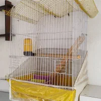 قفس پرنده کاملا سالم