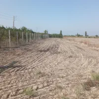 فروش-زمین-زراعی
