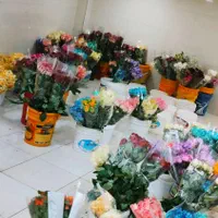 فروش عمده گل نرگس مستقیم از مزرعه به سراسر کشور|گل و گیاه طبیعی|شیراز, جوادیه|دیوار