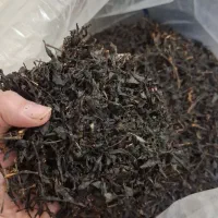 چای محلی