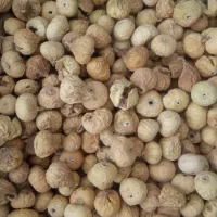 انجیر استهبان|خوردنی و آشامیدنی|شیراز, گل سرخ|دیوار