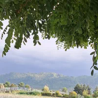 تدریس خصوصی و گروهی