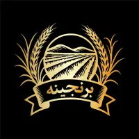 استخدام ویزیتور