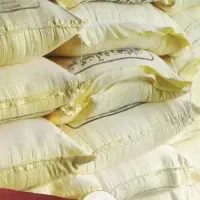 واگزاری یک باب بربری دولتی