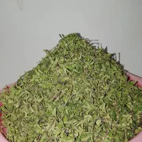 آنخ تازه پاک کرده