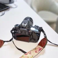 فروش دوربین عکاسی  Canon EOS 70D + لنز ۱۸ ۱۳۵|دوربین عکاسی و فیلم‌برداری|شیراز, زرگری|دیوار