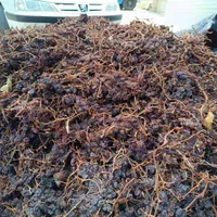 مویز وکشمش خرما خمیر خرما شیره خرما|عمدهفروشی|شیراز, شهرک مدرس|دیوار