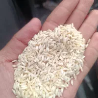 این برنج یکم نم گرفته زرده داره تو پخت سفید میشه