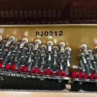 پیانو آکوستیک|پیانو، کیبورد، آکاردئون|شیراز, شاه قلی بیگی|دیوار