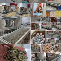 فروش ویژه خشکبار|عمده‌فروشی|شیراز, پودنک|دیوار