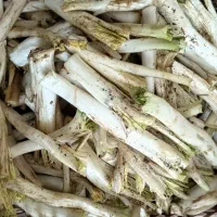 کنگر پاک کرده و تازه