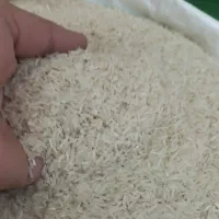 انواع برنج ایرانی فجرسوزنی لاشه سرلاشه طارم|خوردنی و آشامیدنی|شاهرود, |دیوار