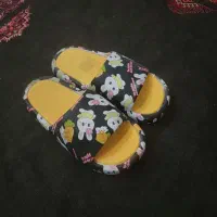 دمپایی روفرشی