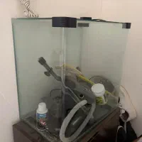 اکواریوم با لوازم خوب|ماهی|اندیشه, اندیشه فاز ۶|دیوار