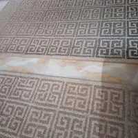 فرش ۶متری فانتزی ورساچه همراه کناره صفی علیشاه